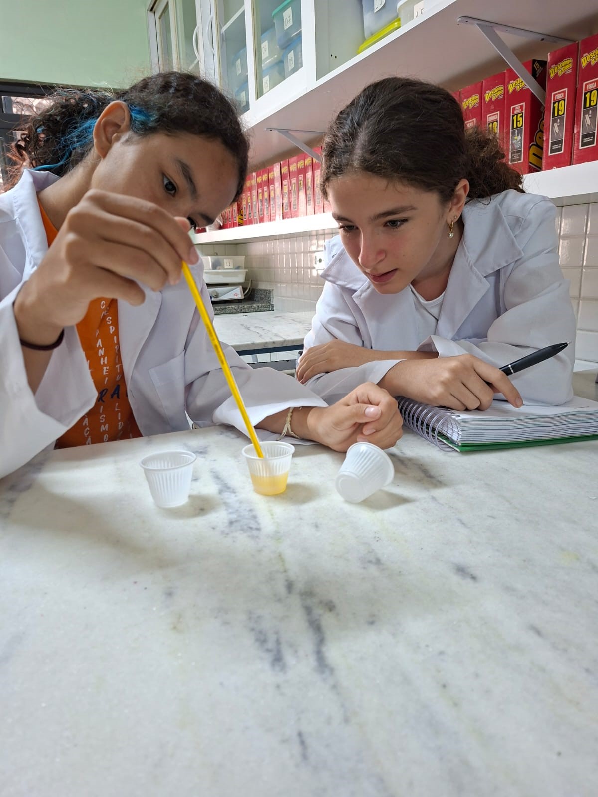 Col�gio Estrela S�rius