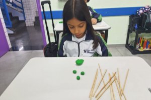  - Colgio Estrela Srius