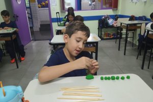  - Colgio Estrela Srius