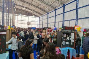  - Colgio Estrela Srius